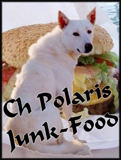 Polaris Junk-Food