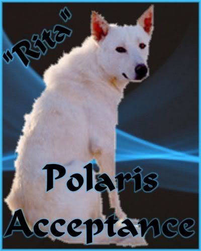 Polaris Acceptance