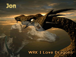WRK I Love Dragons