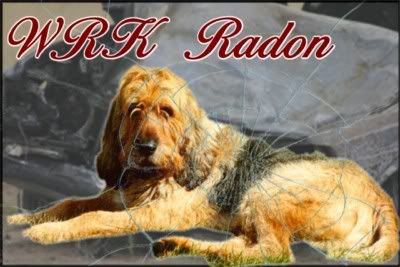 WRK Radon