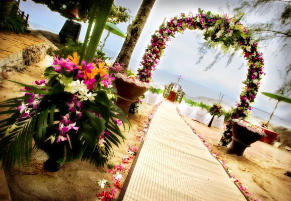 IMAGE: http://i4.photobucket.com/albums/y126/bnlearle/thaiweb0007.jpg