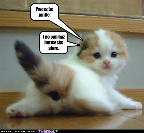 funny-pictures-kittehs-first-time.jpg