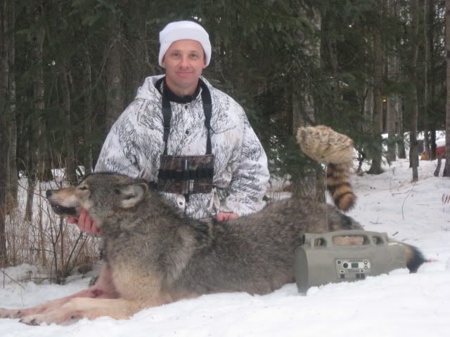 wolfpicture4.jpg