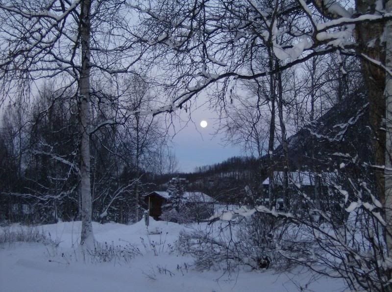 full moon in winter Pictures, Images and Photos