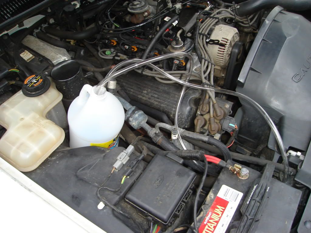 Transmission Fluid and Filter Change + Fuel Filter 4.6L Based Powertrains