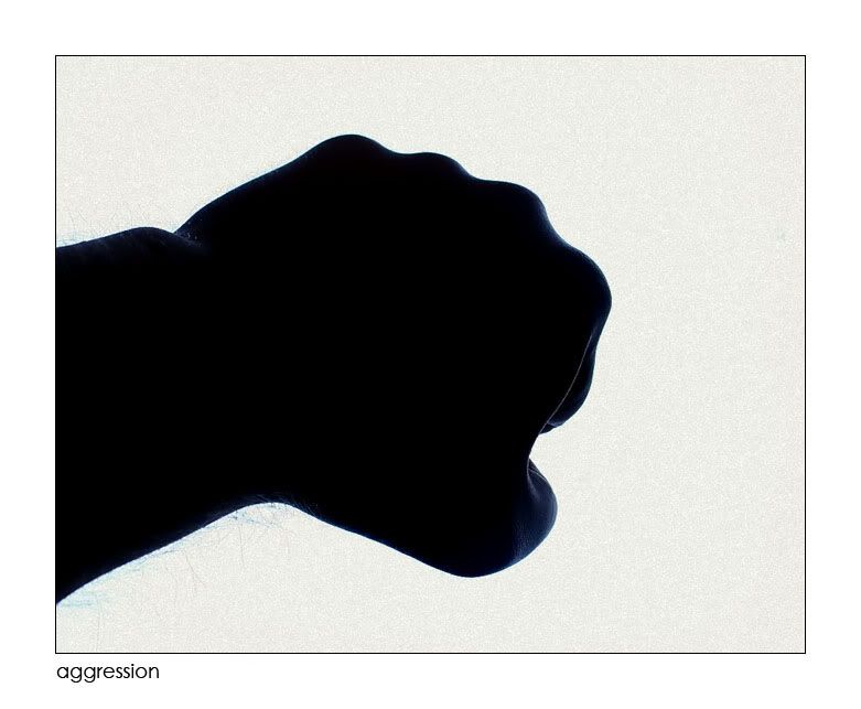 IMAGE: http://i4.photobucket.com/albums/y130/hypo/aggress.jpg