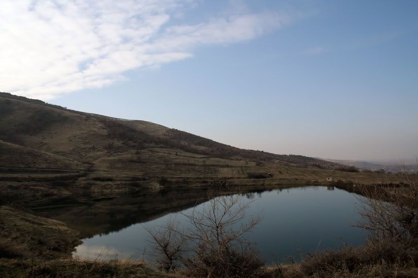 IMAGE: http://i4.photobucket.com/albums/y130/hypo/qzovir1.jpg