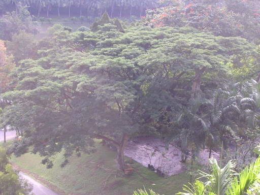 Image hosting by Photobucket