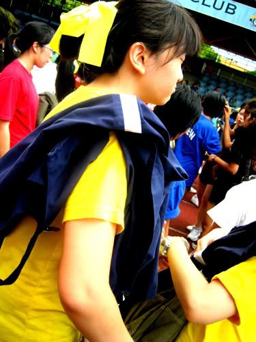 Photo Sharing and Video Hosting at Photobucket