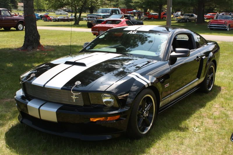 IMAGE: http://i4.photobucket.com/albums/y131/bsmall/IMG_1681.jpg