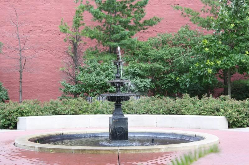 IMAGE: http://i4.photobucket.com/albums/y131/bsmall/Jackson/IMG_5031.jpg