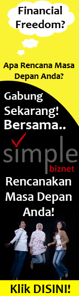 SimpleBizNet