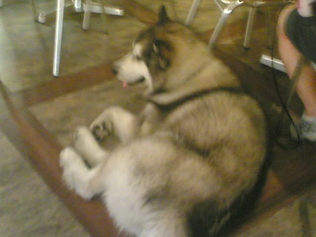 Photo Sharing and Video Hosting at Photobucket