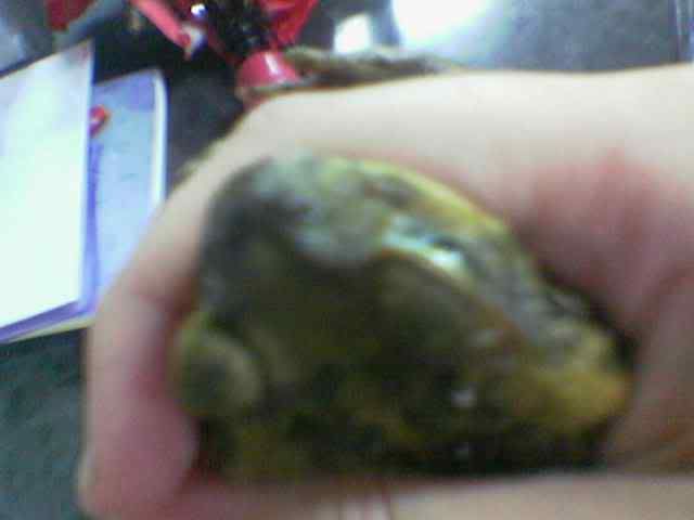 Image hosting by Photobucket