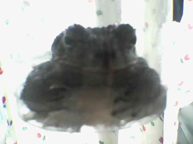 Image hosting by Photobucket