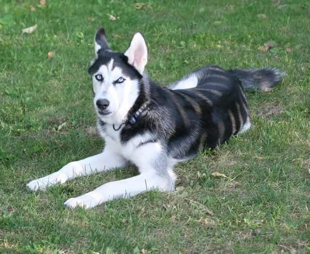 IMAGE: http://i4.photobucket.com/albums/y133/Photonut1/IMG_1606.jpg