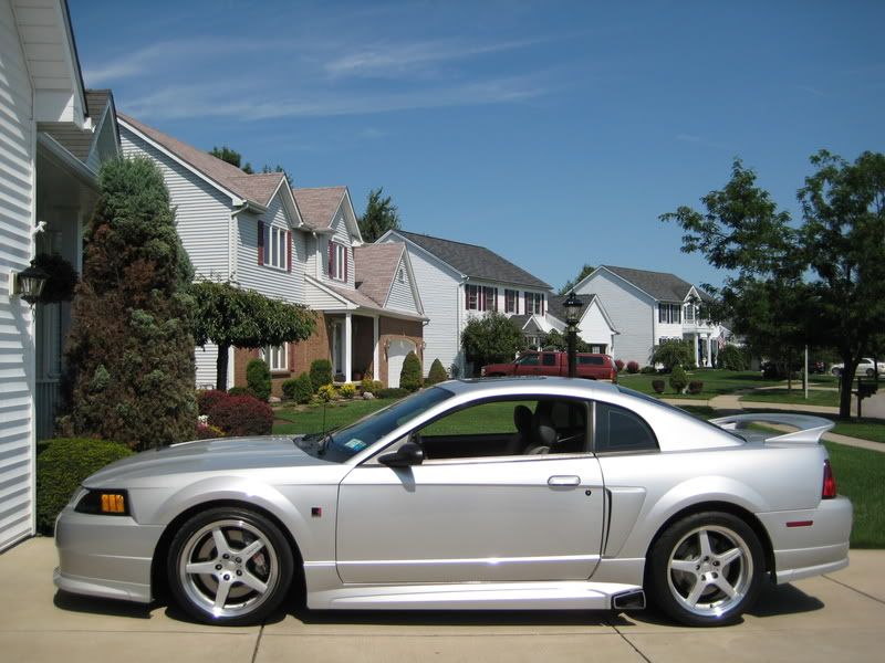 http://i4.photobucket.com/albums/y133/naaby2687/roush/picture056-1.jpg