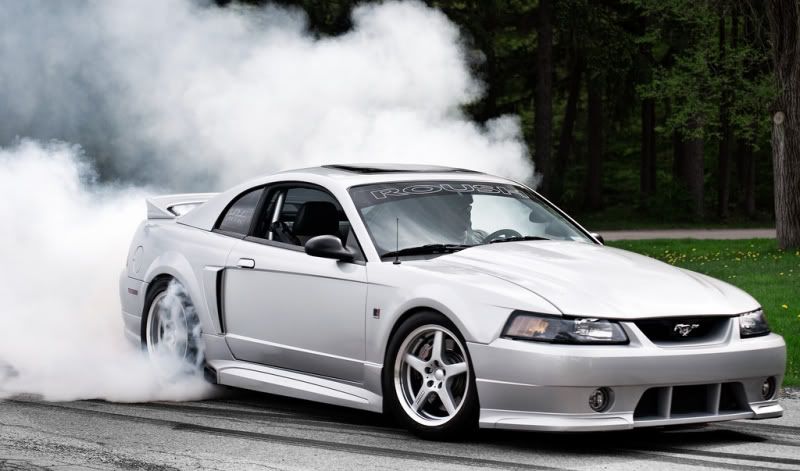 http://i4.photobucket.com/albums/y133/naaby2687/roushburnout_zpsc61ae1ff.jpg