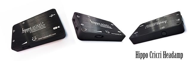 Tai nghe Custom. Hàng cao cấp dành cho Pro-Audiophiles và giới Nghệ Sĩ Âm Nhạc - 2