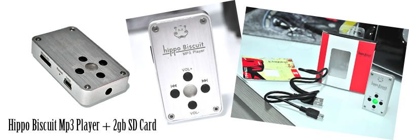 Tai nghe Custom. Hàng cao cấp dành cho Pro-Audiophiles và giới Nghệ Sĩ Âm Nhạc - 1