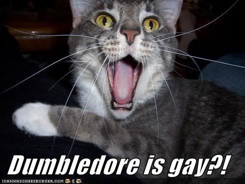 dumbledore-is-gay-lolcat.jpg