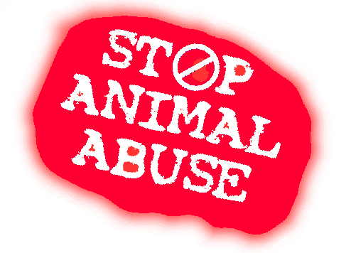stop animal cruelty quotes. Stop Animal Abuse Image