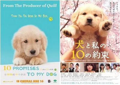 10 Promise To My Dog