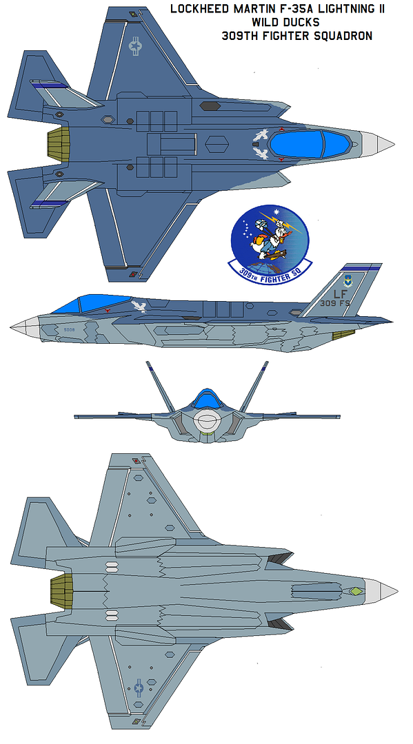 LockheedMartinF-35aLightningIIWILDDUCKS309th.png