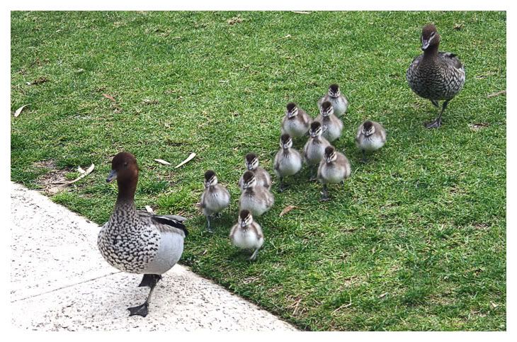 IMAGE: http://i4.photobucket.com/albums/y140/skade2/IMG_0402copy2.jpg