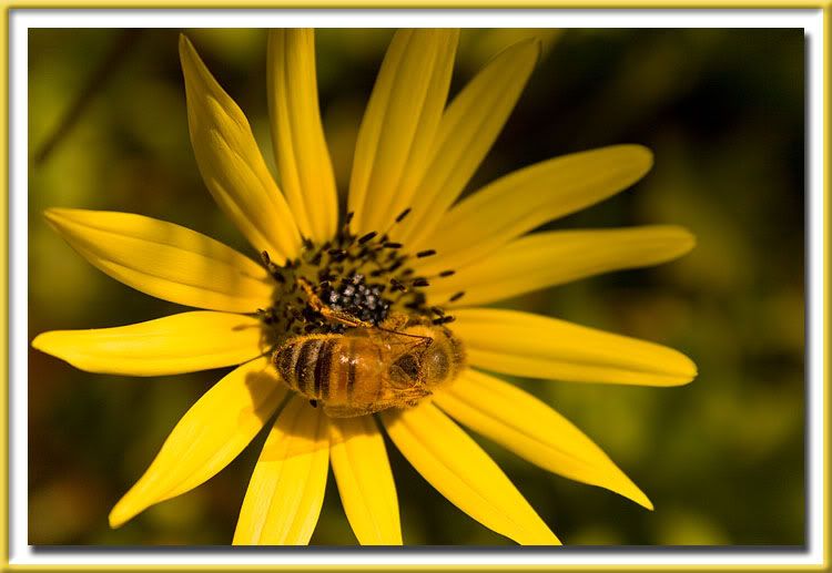 IMAGE: http://i4.photobucket.com/albums/y140/skade2/changed.jpg