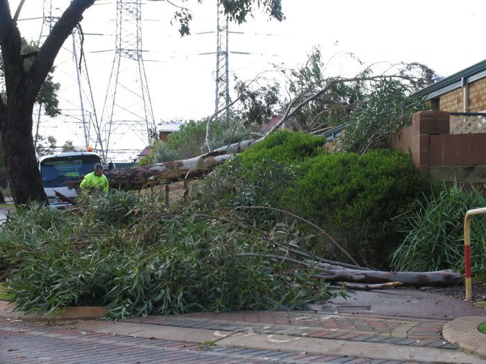 IMAGE: http://i4.photobucket.com/albums/y140/skade2/housetreecollapes.jpg