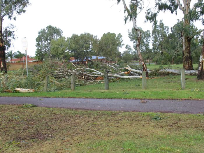 IMAGE: http://i4.photobucket.com/albums/y140/skade2/park.jpg