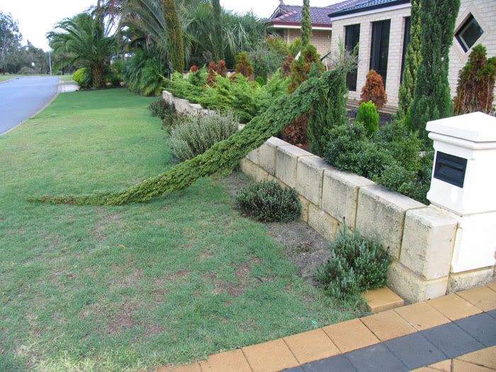 IMAGE: http://i4.photobucket.com/albums/y140/skade2/treehousenonumber.jpg