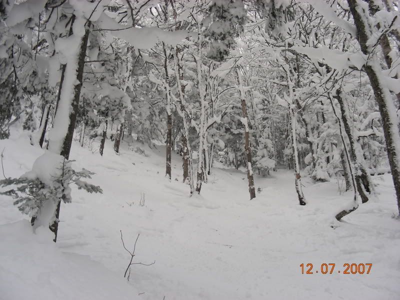 Killington12-8-07007.jpg