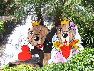 The wedding couple (otters)