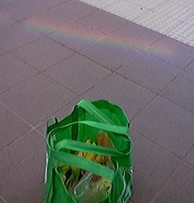 shopping bag::reflection