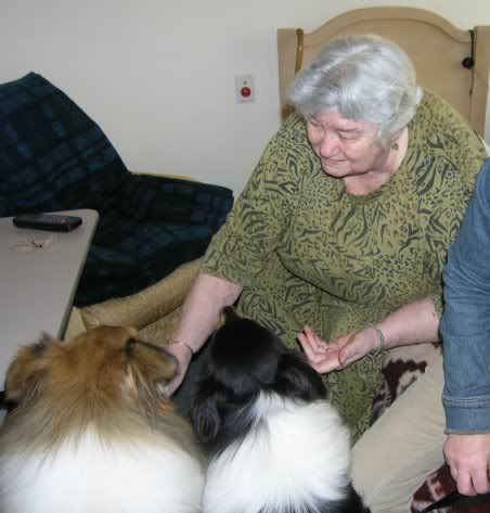 IMAGE: http://i4.photobucket.com/albums/y143/reillycollie/baysidesmall5.jpg