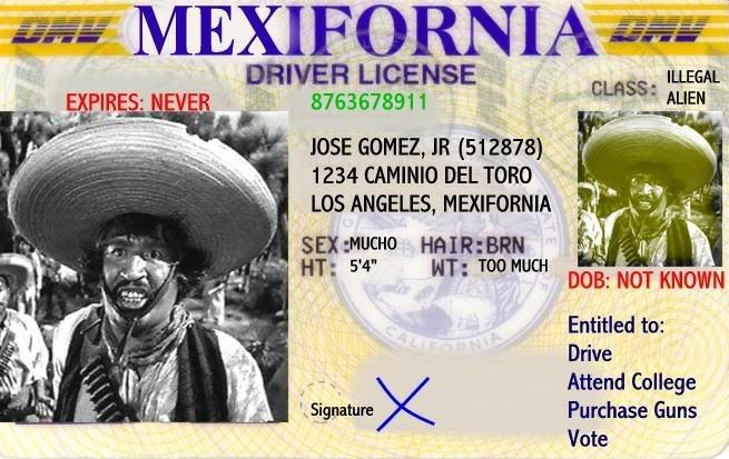 Illegaldriverslicense.jpg