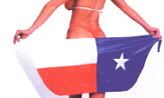 Texasflag.jpg