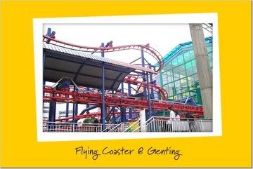 The Flying Coaster