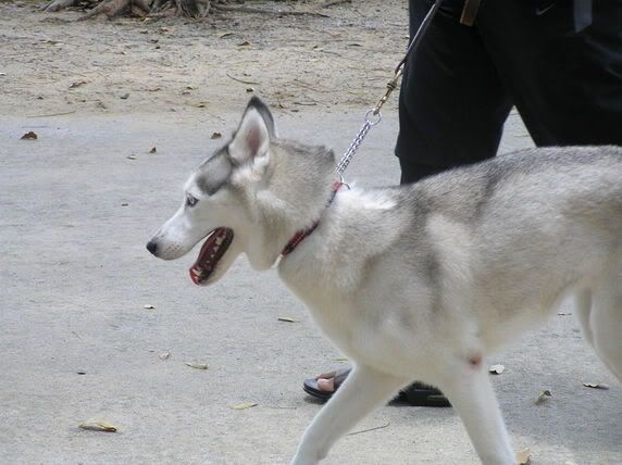 Image hosted by Photobucket.com