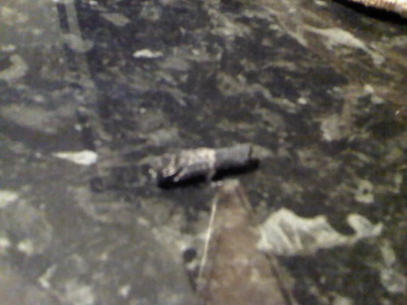 2004 E46 320d Exhaust Emissions Warning Light BMW Forums BimmerForums