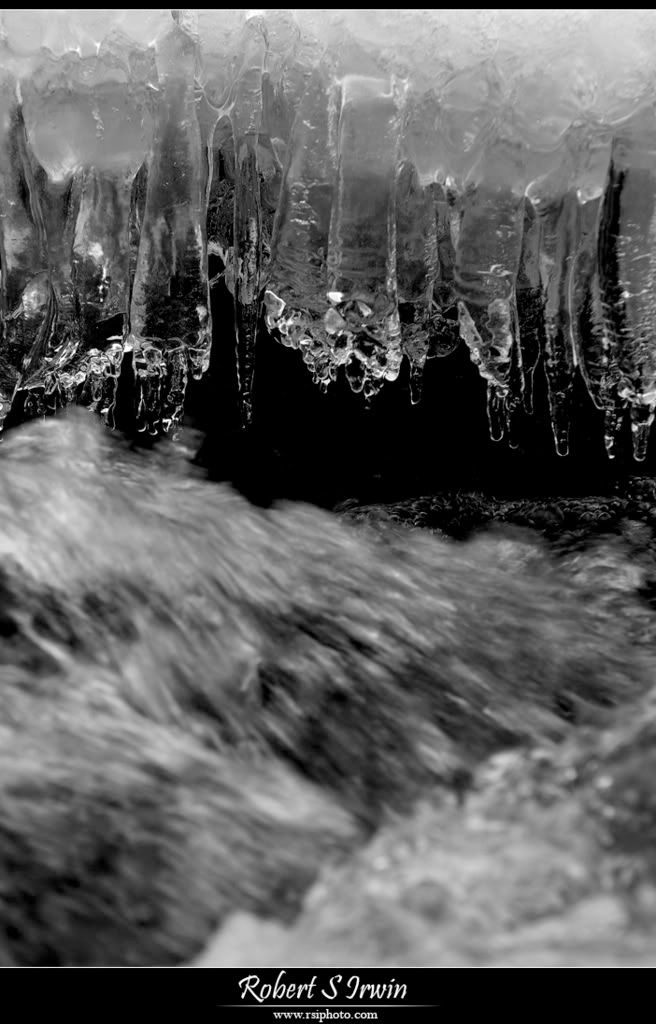 IMAGE: http://i4.photobucket.com/albums/y145/vroom_skies/Photography/Abstract/7BW.jpg