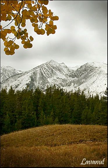 IMAGE: http://i4.photobucket.com/albums/y145/vroom_skies/Photography/Edits/IMG_1352-BA_155e3.jpg