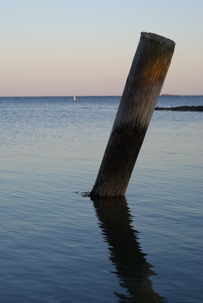 IMAGE: http://i4.photobucket.com/albums/y145/vroom_skies/Photography/Nature/IMGP2050.jpg