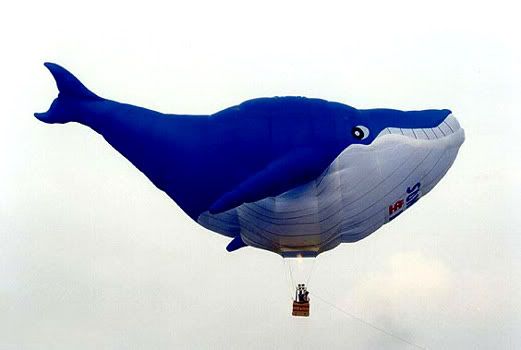 [Image: baleine2.jpg]