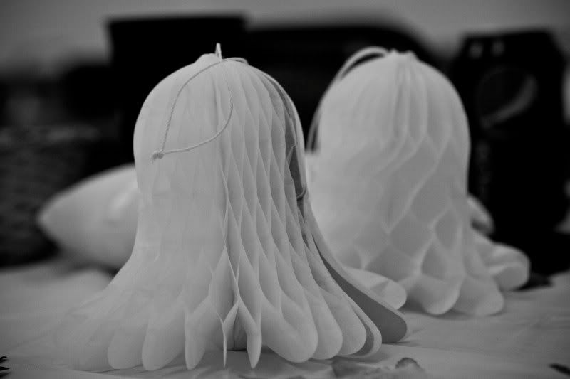 IMAGE: http://i4.photobucket.com/albums/y146/JordysMom/Trish%20and%20Tank/_MG_0001.jpg