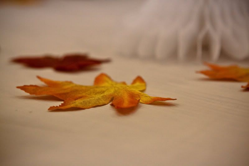 IMAGE: http://i4.photobucket.com/albums/y146/JordysMom/Trish%20and%20Tank/_MG_0008.jpg