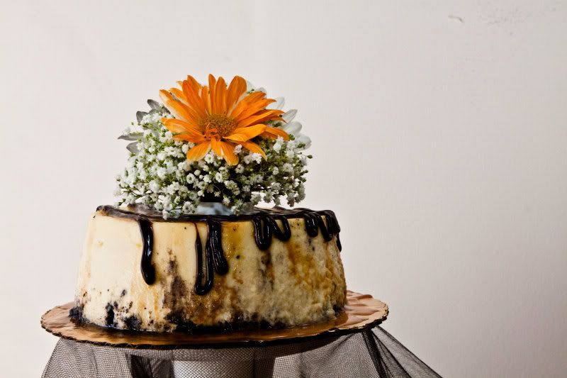 IMAGE: http://i4.photobucket.com/albums/y146/JordysMom/Trish%20and%20Tank/_MG_9875.jpg