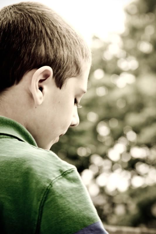 IMAGE: http://i4.photobucket.com/albums/y146/JordysMom/_MG_3729.jpg